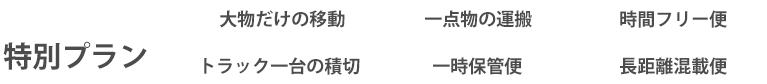 特別プラン